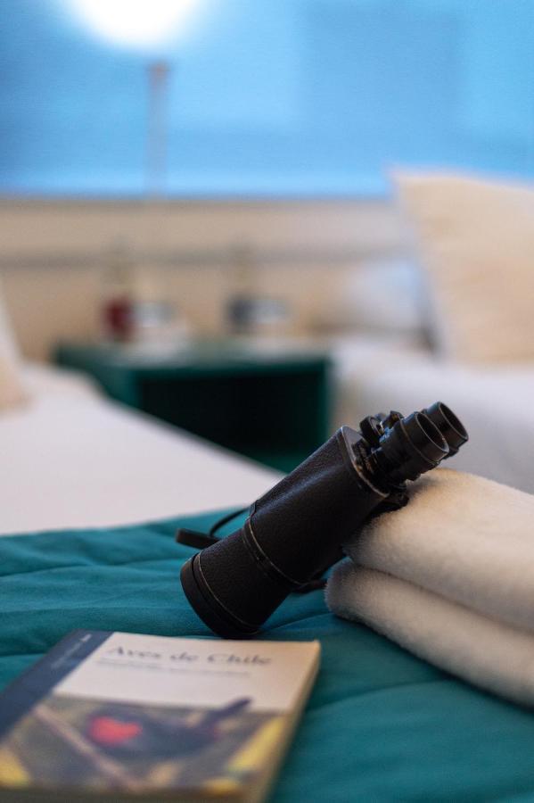 Hostal Boutique Terra Antarctica Punta Arenas Exterior photo
